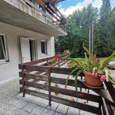 Hostel Pod Voglom Bohinj