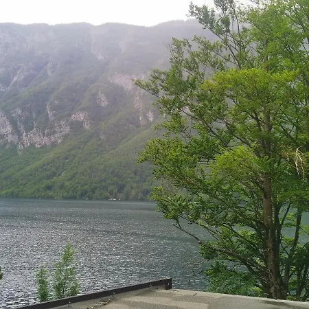 Auberge de jeunesse Pod Voglom *