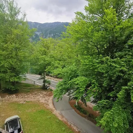 Pod Voglom Auberge de jeunesse Bohinj