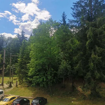 Pod Voglom Ostello Bohinj
