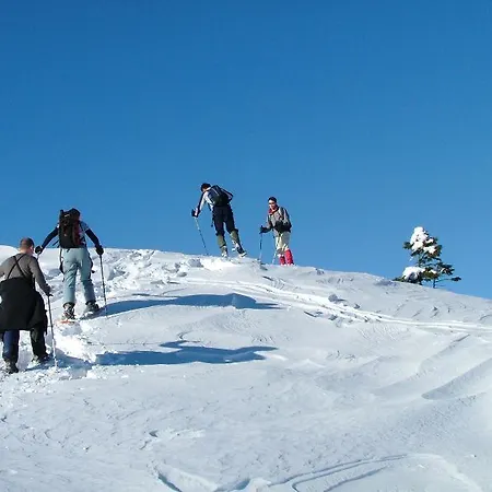 Pod Voglom Vandrarhem *