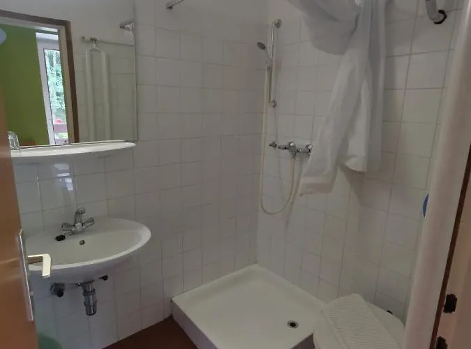 Auberge de jeunesse Pod Voglom *