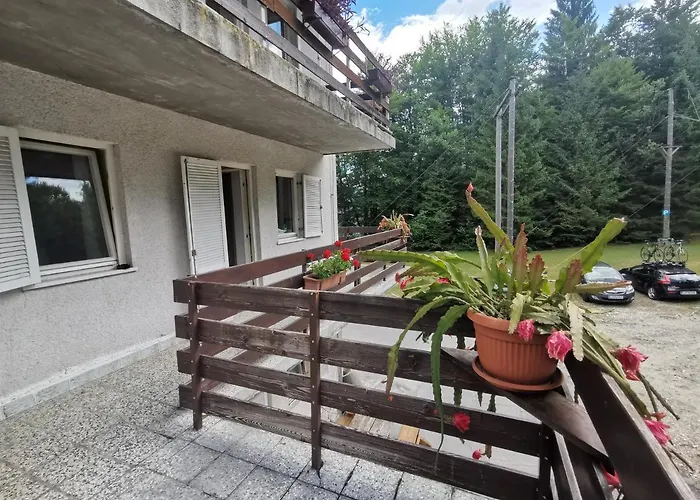Auberge de jeunesse Pod Voglom Bohinj