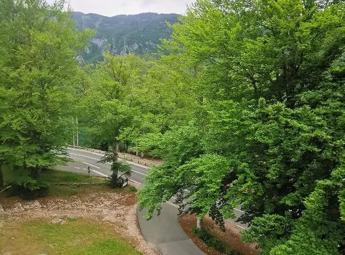 Pod Voglom Auberge de jeunesse Bohinj