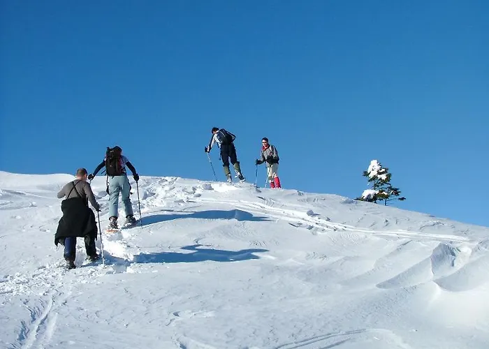 Pod Voglom Ostello *